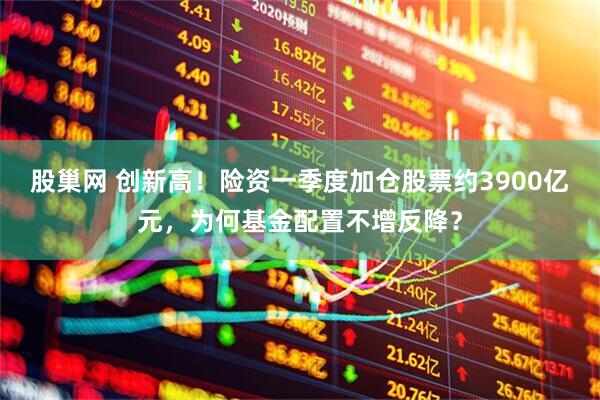 股巢网 创新高！险资一季度加仓股票约3900亿元，为何基金配置不增反降？